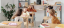 学生工作管理系统